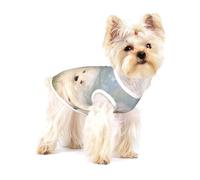 Chiots Samoyèdes Chiens Blancs Famille Petit Samoyède,T-Shirt sans Manches en Coton pour Animaux de Compagnie, Gilet Respirant, Extensible et Doux,M