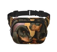 Chiots teckels Animaux de Compagnie Chiens Petit Teckel,Sac Banane carré Double Couche, Sac de Poitrine