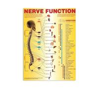 Chiropractic Nerve Pathways Poster Autonomic Function Infographic Chart Spinal Subluxation Educational Anatomy Wall Art for Clinic Office Therapy Room(Framed,12x18inch(30x45cm))