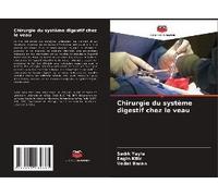 Chirurgie Du Système Digestif Chez Le Veau