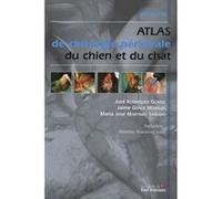Chirurgie perineal chez le chien et le chat Maria José Martinez Sañudo (Auteur), Jaime Graus Morales (Auteur), José Rodríguez Gómez (Auteur), Florence Almosni-Le-Sueur (Traduction)