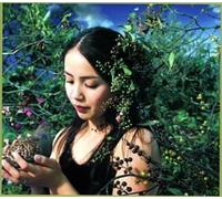 Chitose Hajime - Hanadairo [Import]