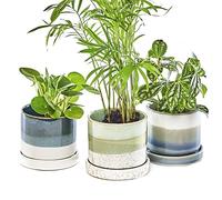Chive Lot de 3 Pots de Fleurs en céramique « Minute » - Jolis Pots pour Fleurs et Plantes d'intérieur et d'extérieur - Vert et Bleu