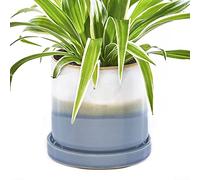 CHIVE Pot de fleurs en cramique Minute Jolis pots de fleurs colors de 12,7 cm pour plantes d'intrieur et d'extrieur Belle dcoration de cuisine moderne de ferme Couche bleue