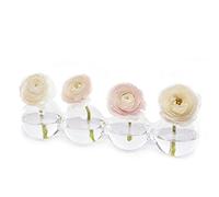 Chive Verre Hudson 5 Grand Vase Transparent Forme de Chenille