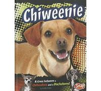 Chiweenie: A Cross Between A Chihuahua And A Dachshund
