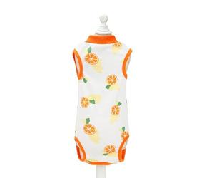 Chiyyak Chemise de Récupération pour Animaux de Compagnie, Fine et Respirante, en Coton imprimé pour Chat, Chemise Post-Chirurgie, pour Les Amoureux des Animaux de Compagnie, Taille M à L'intérieur