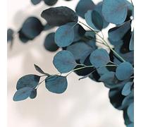 Chiyyak Fleurs Séchées D'eucalyptus, Bouquet de Vraies Fleurs Décoratives éternelles, Décoration de Maison, Salon, Bureau, éternelles (Bleu)