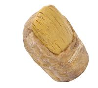 Chiyyak Sculpture d'orteil en Résine, Texture de Peau Réaliste Faite à la Main avec Un Matériau Résistant aux UV et aux Intempéries, Décoration Artistique Unique pour la Maison, l