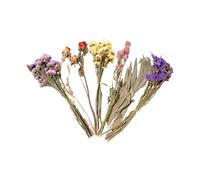 CHIZISX Cage naturelle pour hamster - Fleurs colorées - Literie et décoration décorative - Nid de hamster - Lot de fleurs séchées