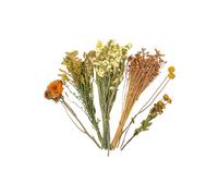 CHIZISX Cage naturelle pour hamster - Fleurs colorées - Literie et décoration décorative - Nid de hamster - Lot de fleurs séchées