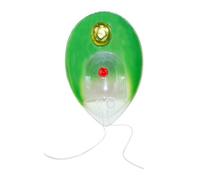 Chlamydomonas Modèle de biologie Modèle de plante anatomique Cellule unique Biologie Aide pédagogique pour les étudiants Chlamydomonas à cellule unique Plante anatomique
