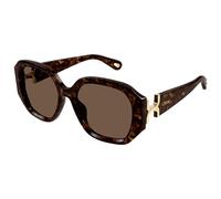 Chloé - CH0236S Marcie 002 Havana - Lunettes de soleil