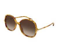 Chloé - CH0383S 002 Havana - Lunettes de soleil