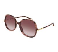 Chloé Femme Chloé CH0383S 004 Lunettes de soleil Acétate La Havane Rouge Ronde