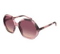 Chloé Enfant Chloé CC0004S 010 Lunettes de soleil enfant Acétate La Havane Rouge Géométrique Nuancé
