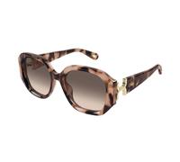 Chloé, Femme, Accessoires, Brun, Taille: 56 MM Ch0236S 005 Lunettes de soleil