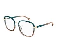 Chloé Femme CH0034O 010 Montures optiques Injecté Vert Transparent Carré