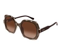 Chloé Femme CH0226S 007 Lunettes de soleil Acétate Marron Cuivre Carré