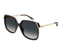 Chloé Femme CH0286S 001 Lunettes de soleil Acétate Gris Gris Carré