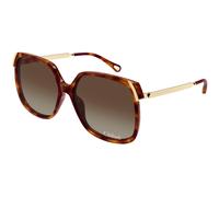 Chloé Femme CH0286S 002 Lunettes de soleil Acétate Havane Marron Carré