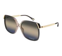 Chloé Femme CH0286S 009 Lunettes de soleil Acétate Gris Bleu Carré