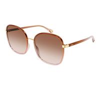 Chloé Femme Chloé CH0031S 007 Lunettes de soleil Bio-inject Marron Marron Carré Ombré
