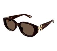 Chloé Femme Chloé CH0237SK 002 Lunettes de soleil Acétate La Havane Marron Ronde