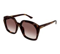 Chloé Femme Chloé CH0280S 006 Lunettes de soleil Acétate Havane Rouge Carré