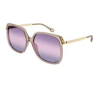 Chloé Femme Chloé CH0286S 004 Lunettes de soleil Acétate Marron Violet Carré