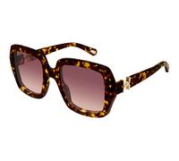 Chloé Femme Chloé CH0301S 002 Lunettes de soleil Acétate La Havane Rouge Carré