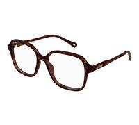 Chloé Femme Chloé CH0313O 002 Montures optiques Acétate Havane Transparent Carré