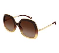 Chloé Femme Chloé CH0327S 006 Lunettes de soleil Acétate Marron Marron Carré