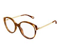 Chloé Femme Chloé CH0328O 007 Montures optiques Acétate La Havane Transparent Ronde