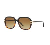Chloé Femme Sunglass CH0204S - Couleur du Monture: Noir, Couleur de Lentille: Brun