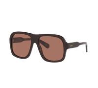 Chloé Femme Sunglass CH0331S - Couleur du Monture: Écaille, Couleur de Lentille: Brun