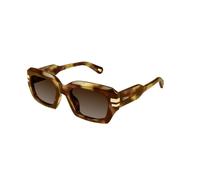 Chloé - Lunettes Authentiques de Qualité Premium - unisex - Accessoires - Multicolore - Taille: 53 MM