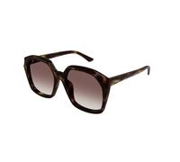 Chloé Femme Chloé CH0280S 006 Lunettes de soleil Acétate Havane Rouge Carré