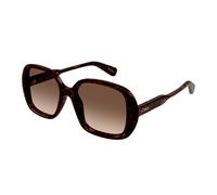 CHLOE Lunettes de soleil pour femmes Lunettes de soleil Ch0222S