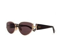 CHLOE SUNGLASSES Lunettes de soleil pour femmes Ch0260S Lunettes de soleil