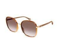 CHLOE SUNGLASSES Lunettes de soleil pour femmes Lunettes de soleil Ch0031S
