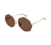 CHLOE SUNGLASSES Lunettes de soleil pour femmes Lunettes de soleil Ch0202S