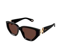 CHLOE SUNGLASSES Lunettes de soleil pour femmes Lunettes de soleil Ch0235S