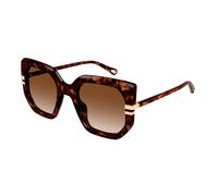 CHLOE SUNGLASSES Lunettes de soleil pour femmes Lunettes de soleil Ch0240S