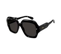 CHLOE SUNGLASSES Lunettes de soleil pour femmes Sunglasses Ch0154S