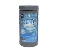 EDG - Chlore Lent Piscine - Galets 250 g - Boite 1 Kg - Chlore Permanent Longue Durée - Haute Concentration