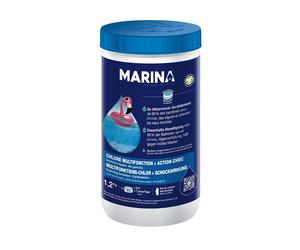Chlore multifonction + Action choc galets bi-couche 1,2 kg - Marina