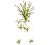 Chlorophytum artificiel avec 27 feuilles vertes et blanches, 45/90 cm, plante d'intérieur décorative