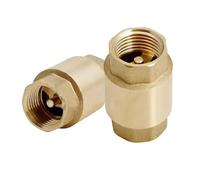 CHM GmbH Clapet anti-retour en laiton 2,5 cm, clapet anti-retour en laiton