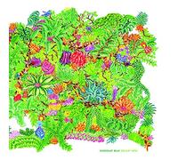 Chocolat Billy - Délicat Déni